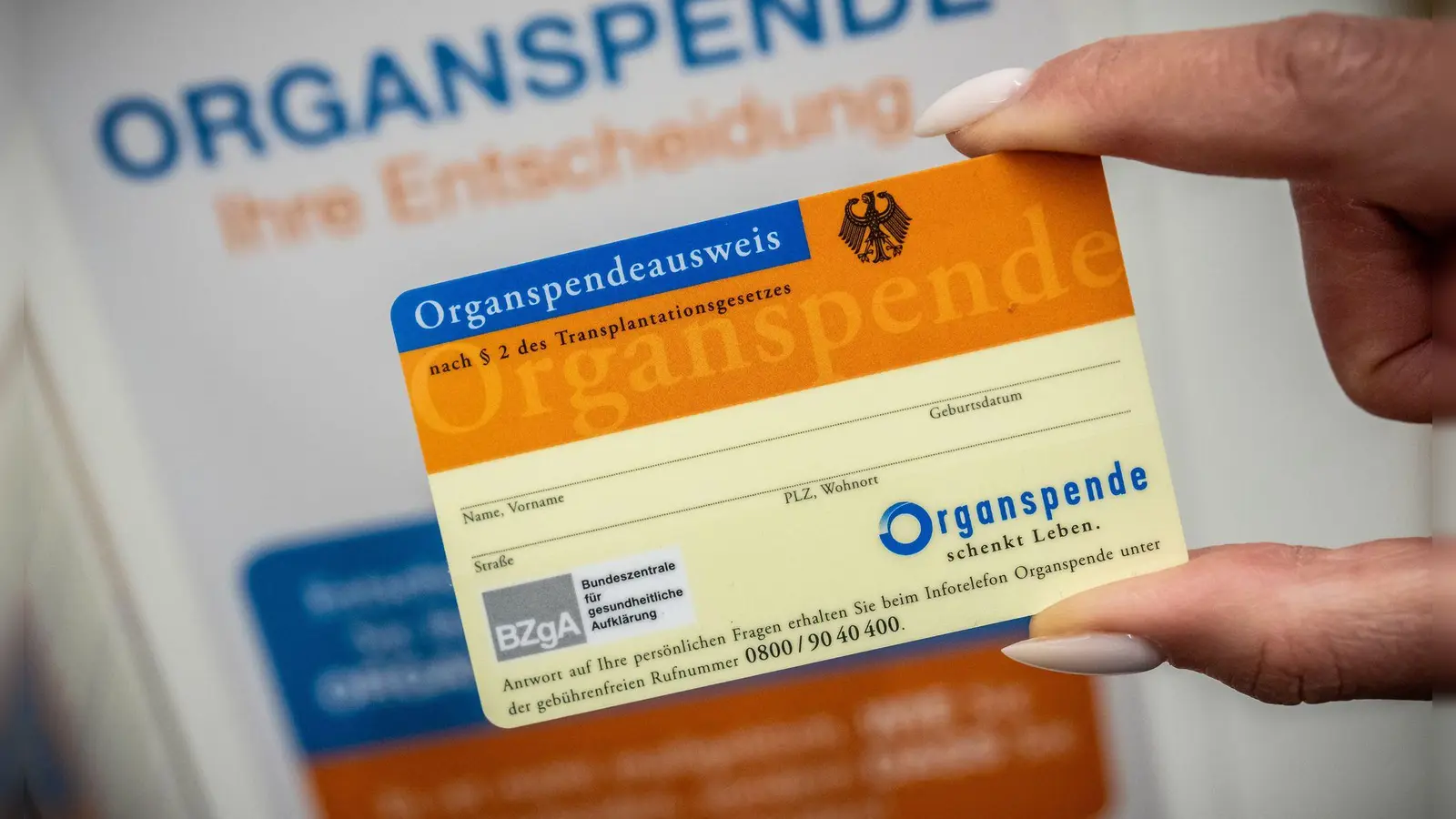 Mit einem Organspendeausweis kann jeder helfen, nach seinem Tod das Leben anderer Menschen zu retten. (Symbolbild) (Foto: Michael Kappeler/dpa)