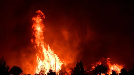 Flammen verbrennen einen Wald in der Nähe des Dorfes Galatsona auf der Insel Euböa, etwa 188 Kilometer nördlich von Athen. (Foto: Michael Varaklas/AP/dpa)