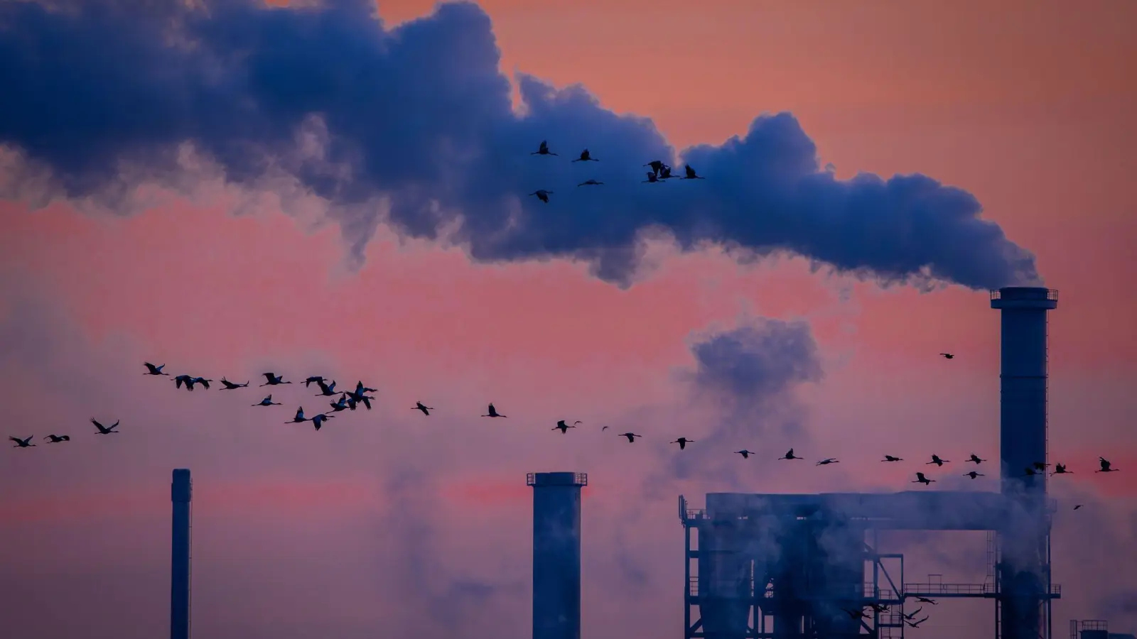 Die deutsche Industrie hat im Juli überraschend viele Aufträge bekommen (Archivbild) (Foto: Jens Büttner/dpa)