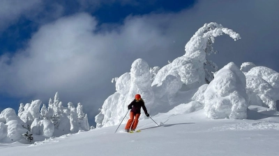 Mitten drin im Schnee, abseits der Piste. Wie hier in Sun Peaks dürfen Skifahrer präparierte Bereiche verlassen. (Foto: Bernhard Krieger/dpa-tmn)