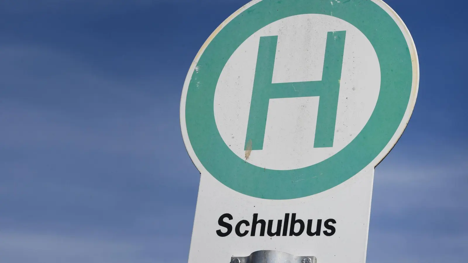 Warum der Schulbus gegen den Baum fuhr, war zunächst unklar. (Symbolbild) (Foto: Stefan Sauer/dpa)