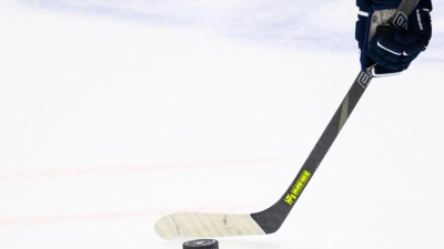 Der ERC Ingolstadt holt Nachwuchs-Stürmer Pul aus Weiden. (Foto: Tom Weller/dpa)