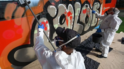Schmierereien verursachen Millionen-Schäden bei der Bahn. (Archivbild) (Foto: Arne Dedert/dpa)