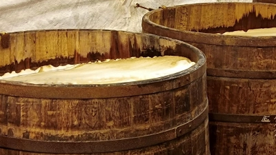 Gärung in offenen Holzfässern: In den Kellergewölben der Pilsner-Urquell-Brauerei werden kleine Chargen des Biers noch immer auf diese traditionelle Weise hergestellt. (Foto: Tom Nebe/dpa-tmn)