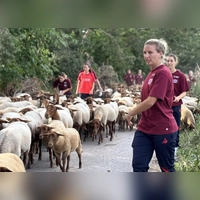 Die Fußballerinnen von Bayer 04 Leverkusen lernten im Zuge des Herdentriebes von 400 Tieren in Neuhof dazu. Das dient der Bereicherung des Teamgeistes unter realen Bedingungen.  (Foto: Bayer Leverkusen)