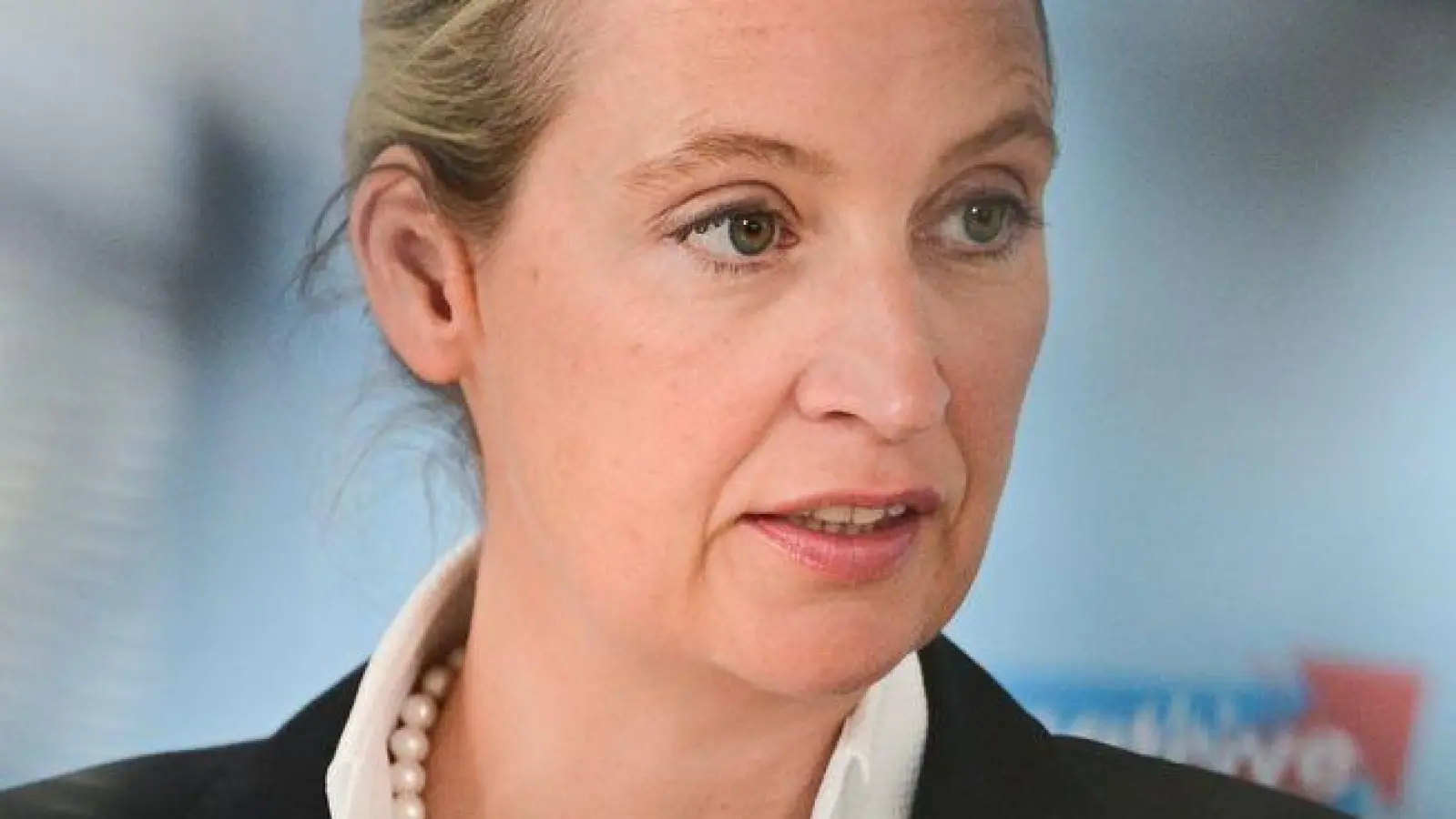 AfD-Chefin Alice Weidel (Foto: Sebastian Christoph Gollnow/dpa)