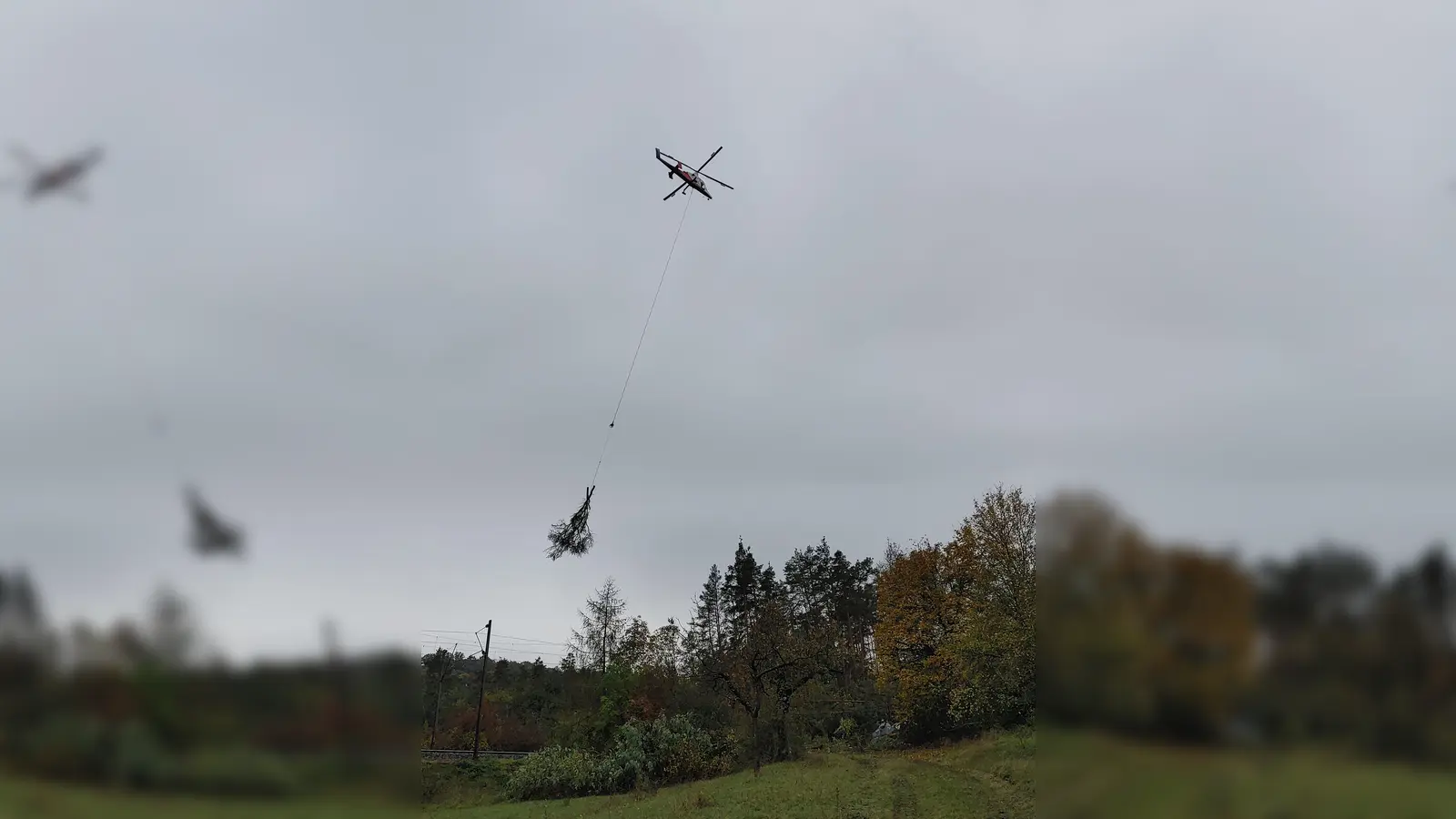 Die gefällten Bäume wurden mit einem Hubschrauber bei Burgbernheim abtransportiert. (Foto: Katrin Merklein)