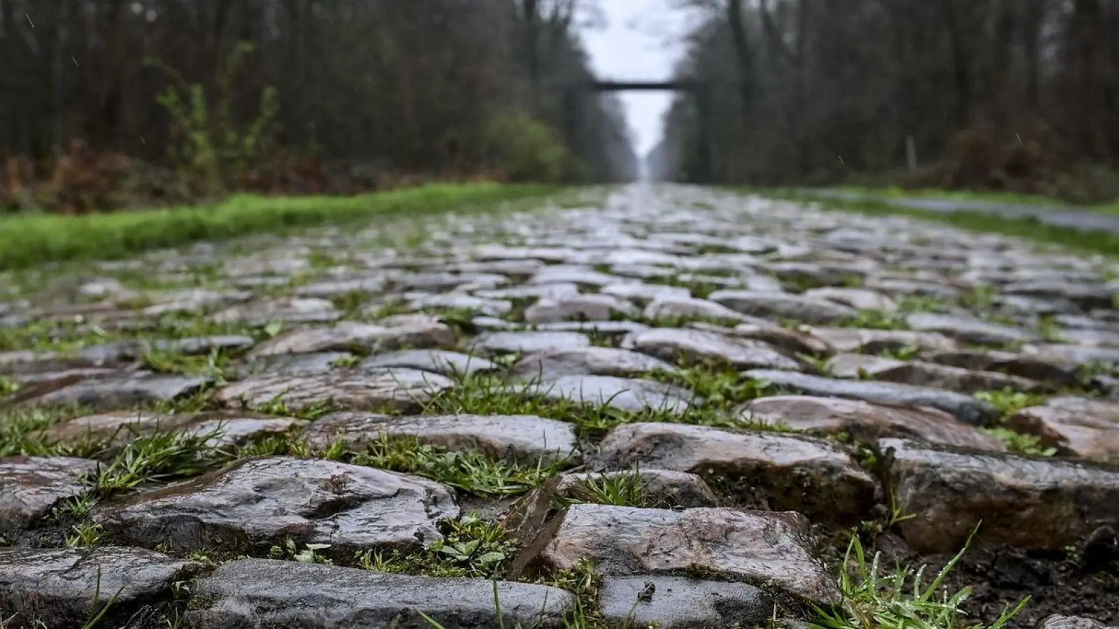 Der Rad-Klassiker Paris-Roubaix findet am Sonntag statt. Vor dem Arenberg-Wald soll nun eine Schikane das Fahrerfeld abbremsen. (Foto: Dirk Waem/Belga/dpa)