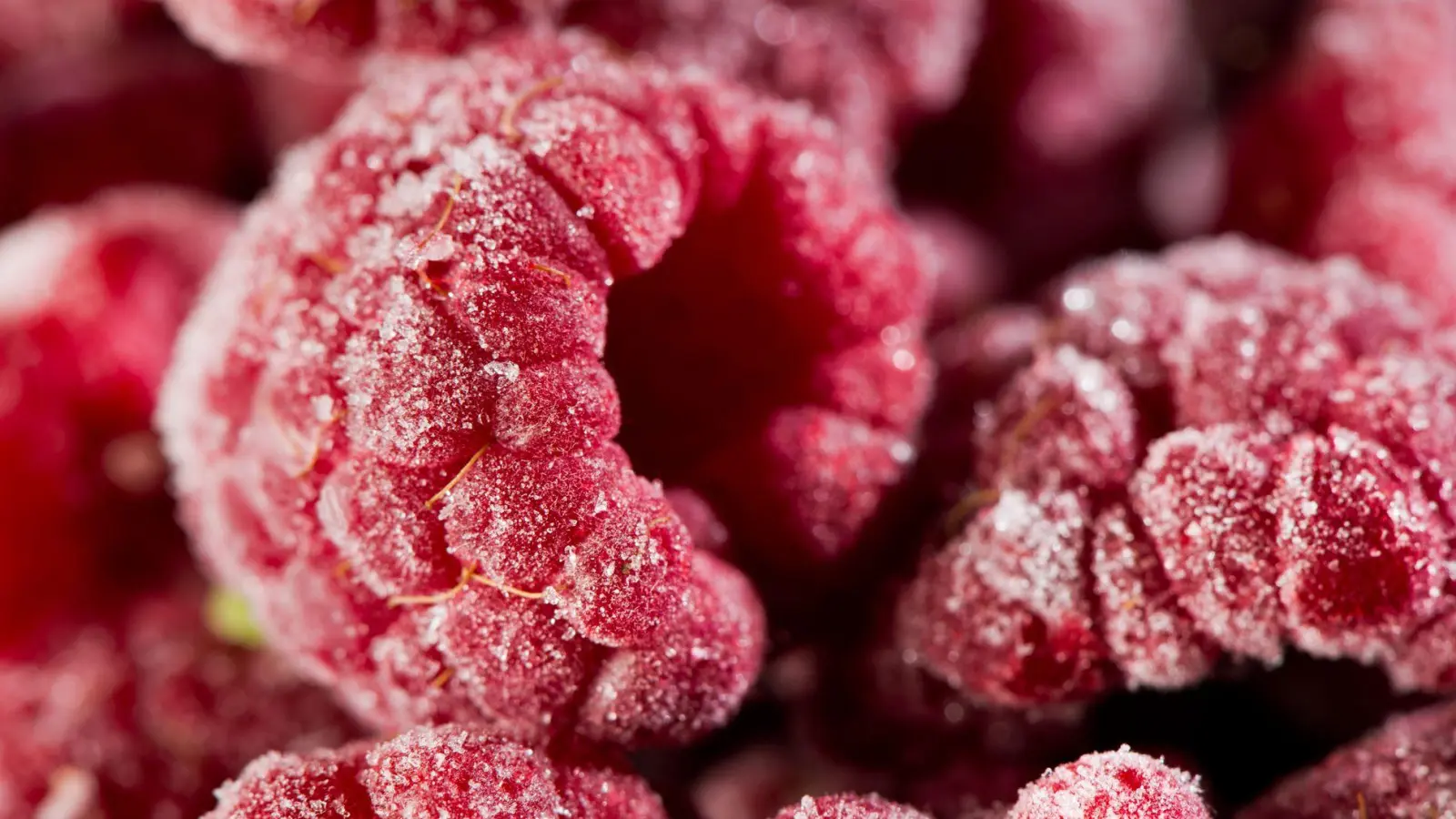 Um eventuelle Keime abzutöten, empfiehlt es sich, Tiefkühlbeeren vor dem Verzehr für einige Minuten bei 90 Grad zu erhitzen. (Foto: Franziska Gabbert/dpa-tmn)