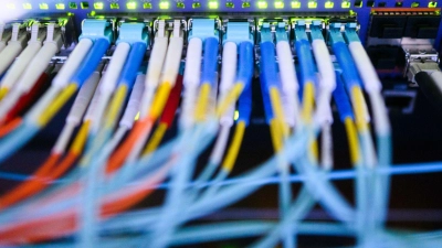 Was würde passieren, wenn von der AfD eingesetzte Beamte auf sicherheitsrelevante Daten zugreifen könnten, fragen sich Innenpolitiker anderer Parteien. (Symbolbild) (Foto: Julian Stratenschulte/dpa)