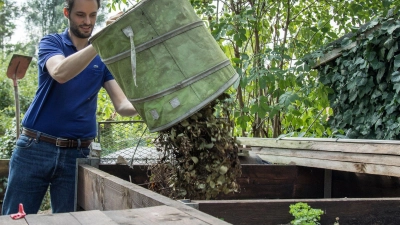 Pflanzen, die von hartnäckigen Krankheiten oder Schädlingen befallen sind, gehören nicht auf den Kompost. (Foto: Christin Klose/dpa-tmn)
