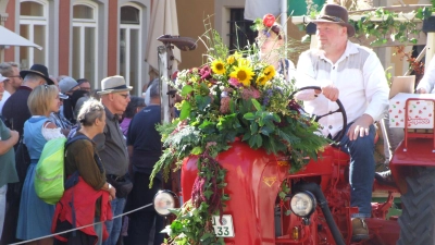 Gehören zum Festzug dazu: die vielen prächtig geschmückten Traktoren, Kutschen und Wagen.  (Foto: Jasmin Kiendl)