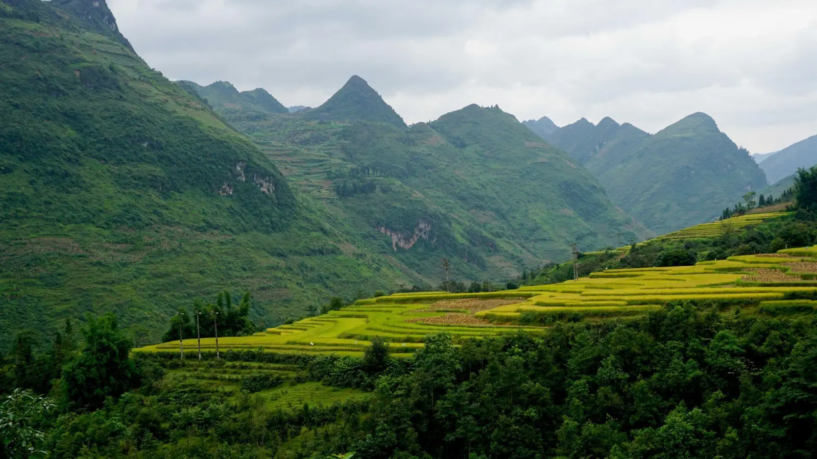 Vietnam bietet auch das: wilde Berglandschaften. Längere Reisen ins Land sind nun visafrei möglich. (Foto: Morten Hübbe/dpa-tmn)
