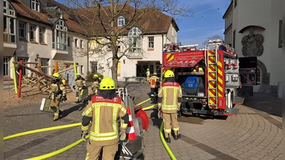 Zum zweiten Mal in zwei Monaten musste die Feuerwehr zu den Schulen im Neustädter Zentrum ausrücken. Der Brand war schnell gelöscht. (Foto: Rainer Weiskirchen )