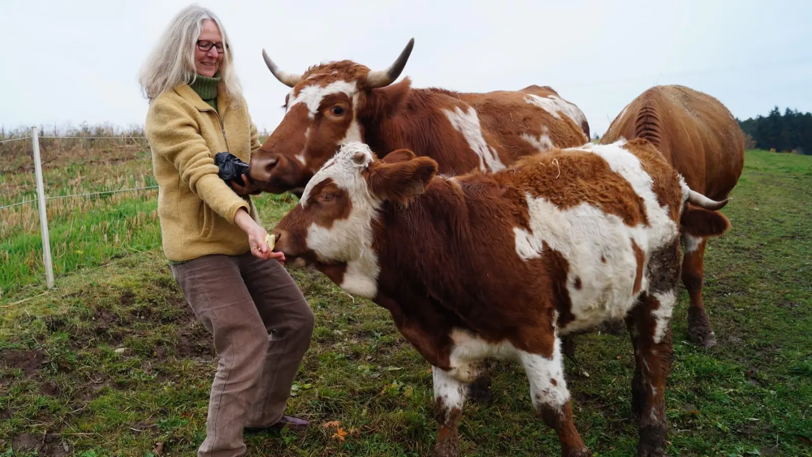 Ursula Pfällin-Nefian mit ihren Triesdorfer Tigern Marie und Ostiger. (Foto: Hermann Nefian)