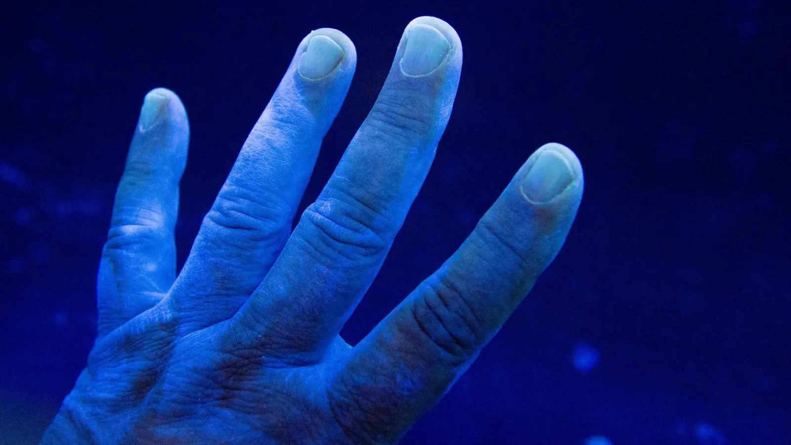 Ist da was? Weil Keime unsichtbar sind, ist eine gewisse Unsicherheit nachvollziehbar.  (Foto: Daniel Reinhardt/dpa/dpa-tmn)