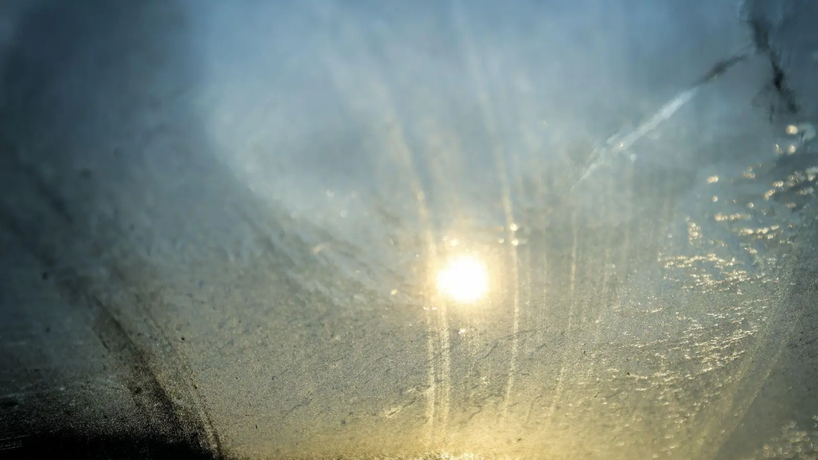 In den nächsten Tagen wird es immer sonniger.  (Foto: Christoph Reichwein/dpa)