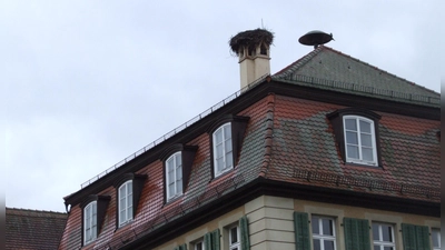 Noch ist das Storchennest auf Feuchtwangens Altem Rathaus da. Bis spätestens Ende Februar soll es abgebaut werden. (Foto: Jasmin Kiendl)
