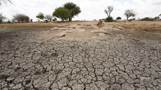 Seit Monaten dauert in Somalia, Kenia und Äthiopien eine schwere Dürre an. (Foto: Dong Jianghui/XinHua/dpa)