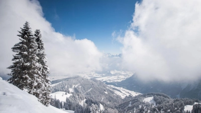 Ehrenamtliche Einsatzkräfte der Bergwacht Marktschellenberg retteten einen am Roßfeld-Skigebiet abgestürzten Hund - sie fanden ihn im Steilgelände. (Archivbld) (Foto: Lino Mirgeler/dpa)