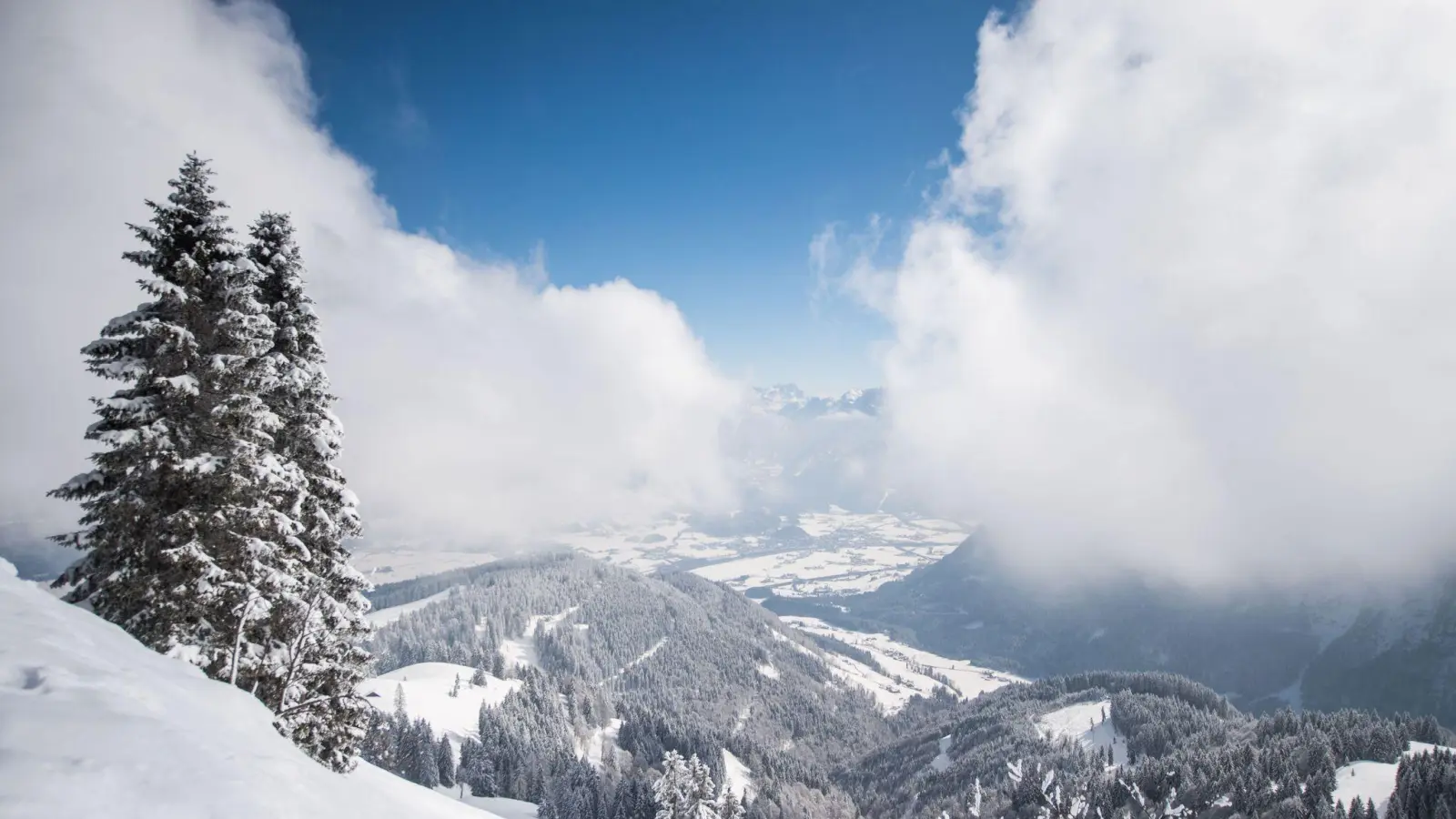 Ehrenamtliche Einsatzkräfte der Bergwacht Marktschellenberg retteten einen am Roßfeld-Skigebiet abgestürzten Hund - sie fanden ihn im Steilgelände. (Archivbld) (Foto: Lino Mirgeler/dpa)