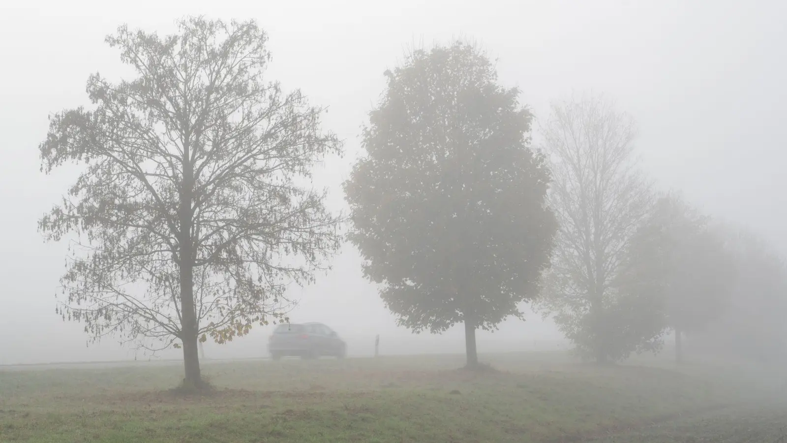 Das Wetter wird zwar zum Wochenende milder, aber es bleibt vielerorts glatt. (Symbolbild) (Foto: Stefan Puchner/dpa)