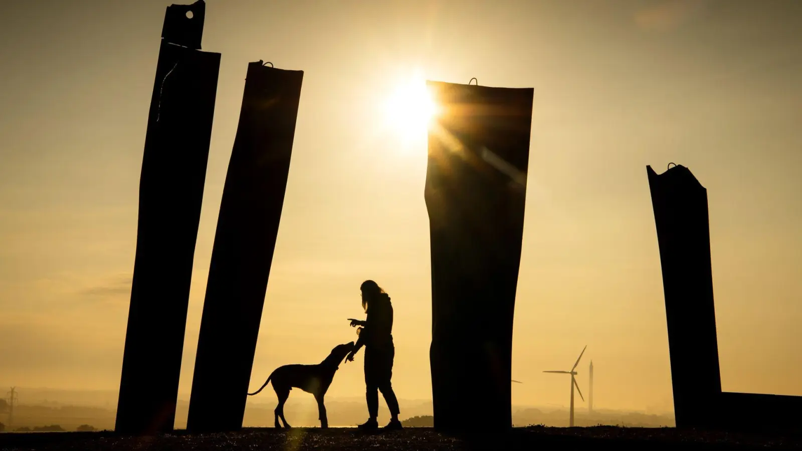 Dream-Team: Bis die Kommunikation zwischen Mensch und Hund klappt, ist es oft ein langer Weg. (Foto: Sina Schuldt/dpa/dpa-tmn)
