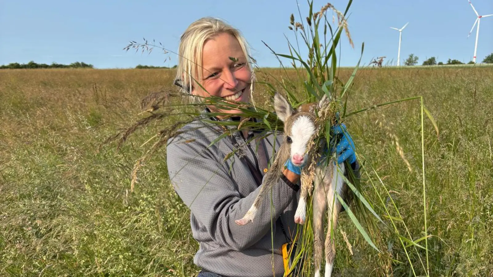 Hier rettet Simone Schmidt ein Rehkitz. Vorschriftsmäßig mit Handschuhen und Gras um den Tierkörper. (Foto: Simone Schmidt)