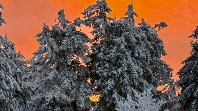 Das Licht der untergehenden Sonne beleuchtet die Wolken, die hinter den schneebedeckten Bäumen auf dem Feldbergplateau untergeht. (Foto: Boris Roessler/dpa)