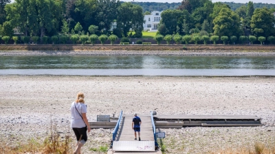 Niedrigwasser im Rhein in Bonn. Die Grünen fordern „intakte Flüsse als Priorität“. (Foto: Benjamin Westhoff/dpa)