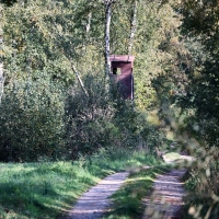 Ein Jäger hatte das fragliche Tier im Notzinger Moos durch eine Wärmebildkamera beobachtet. (Archivbild) (Foto: Peter Kneffel/dpa)