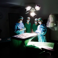 Für das Studienfach Medizin sind eine hohe Lern- und Einsatzbereitschaft wichtig. (Foto: Julian Stratenschulte/dpa/dpa-tmn)