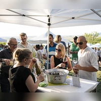 Über 60 Weine können am Samstag verkostet werden. (Foto: atelier zudem/Fränkisches Weinland Tourismus)