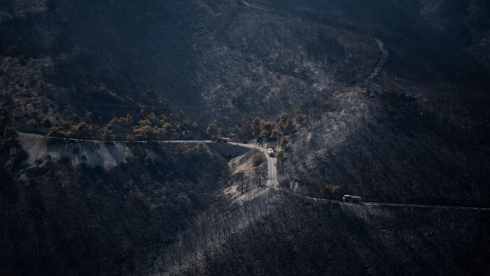 Das Feuer hinterlässt einen verbrannten Wald. (Foto: Michael Varaklas/AP/dpa)