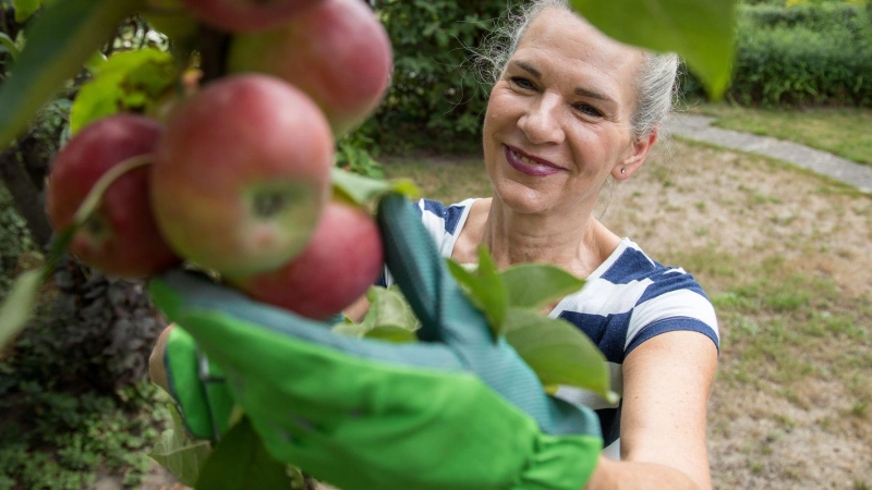 Nicht nur im Herbst: Auch im Frühjahr lassen sich Obstbäume erfolgreich pflanzen. (Foto: Christin Klose/dpa-tmn)