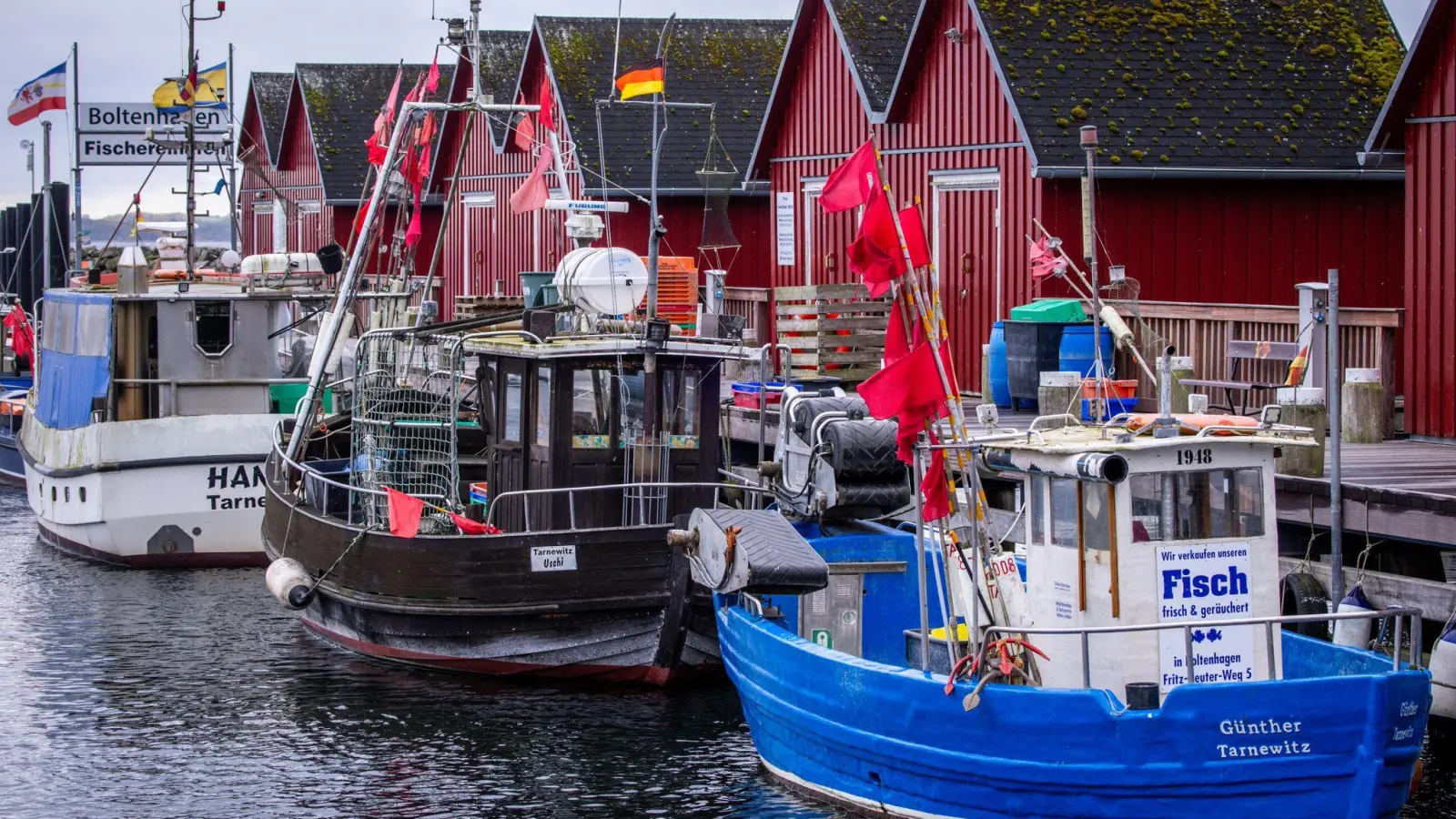 Trotz Sorgen um Dorsch und Hering: Für die deutschen Ostsee-Fischer bleibt fast alles beim Alten. (Symbolbild) (Foto: Jens Büttner/dpa)