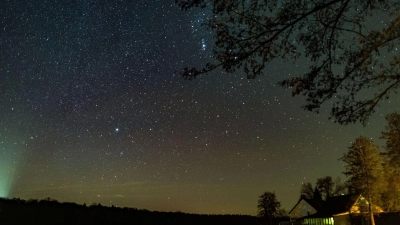In der Silvesternacht lohnt nicht nur der Blick auf Raketengefunkel. (Archivbild) (Foto: Patrick Pleul/dpa-Zentralbild/dpa)