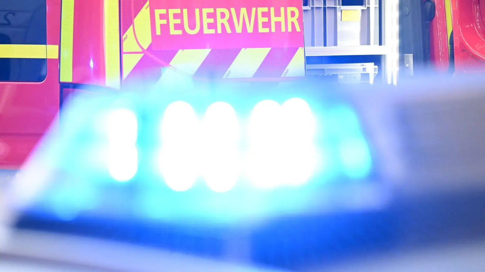 Die Feuerwehr schätzte, dass etwa 80 bis 100 Schweine das Feuer überlebt hätten. (Symbolbild) (Foto: Bernd Weißbrod/dpa)