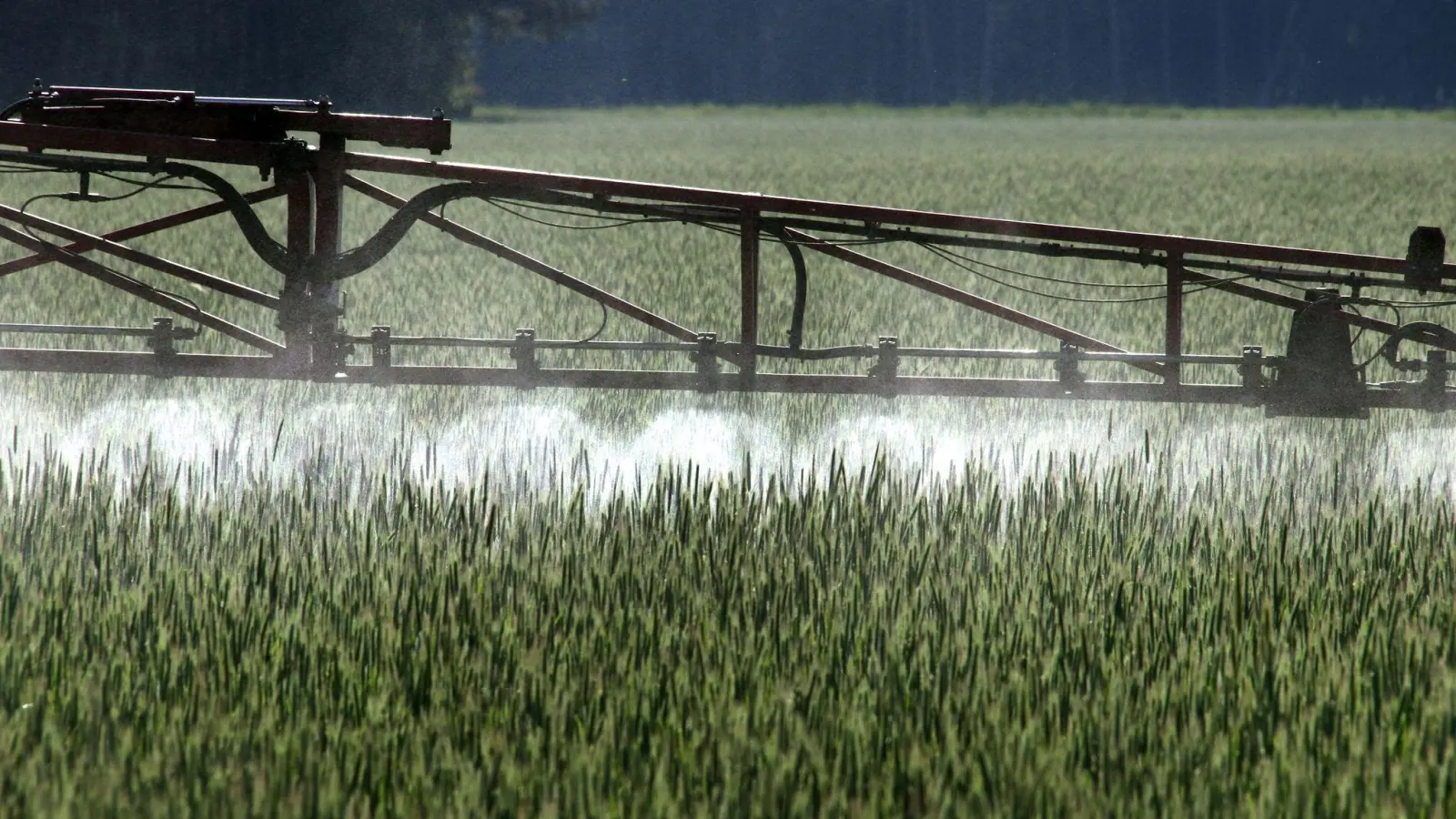 Ein Gesetz zur Reduktion von Pestiziden in der EU hat im EU-Parlament keine Mehrheit gefunden. (Foto: Peter Förster/dpa)