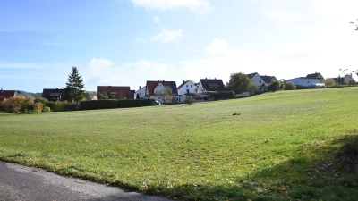 Auf dem Gelände an der Büttelbergstraße in Oberdachstetten war eigentlich der Bikepark angedacht. Jetzt droht das Vorhaben zu kippen. (Foto: Anna Beigel)