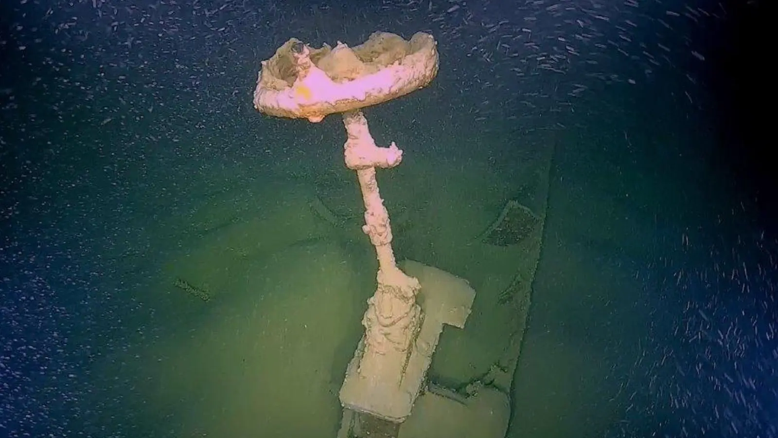 Handrad eines Schaufelraddampfers auf dem Grund des Bodensees. (Foto-Handout)  (Foto: Marcel Edel/LAD im RPS/ISF der LUBW/dpa)