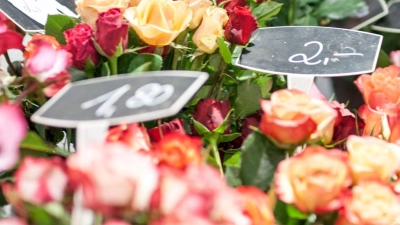 In einem Blumenladen in Oberfranken stehen vor dem Valentinstag verschiedene Rosen. (Foto: Pia Bayer/dpa)