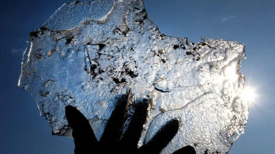 Besser mit Handschuhen! Unsere Finger sind besonders anfällig für Erfrierungen.  (Foto: Martin Gerten/dpa/dpa-tmn)