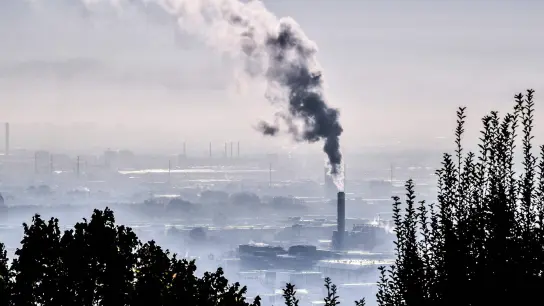 Umweltverschmutzung und andere äußere Einflüsse sind für viele Menschen in Europa ein Krebsrisiko. (Foto: Philippe Desmazes/AFP/dpa)
