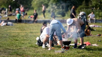 Erlaubt oder nicht? Die Parkordnung oder Hinweisschilder geben die Regeln vor. (Foto: Fabian Sommer/dpa/dpa-tmn)