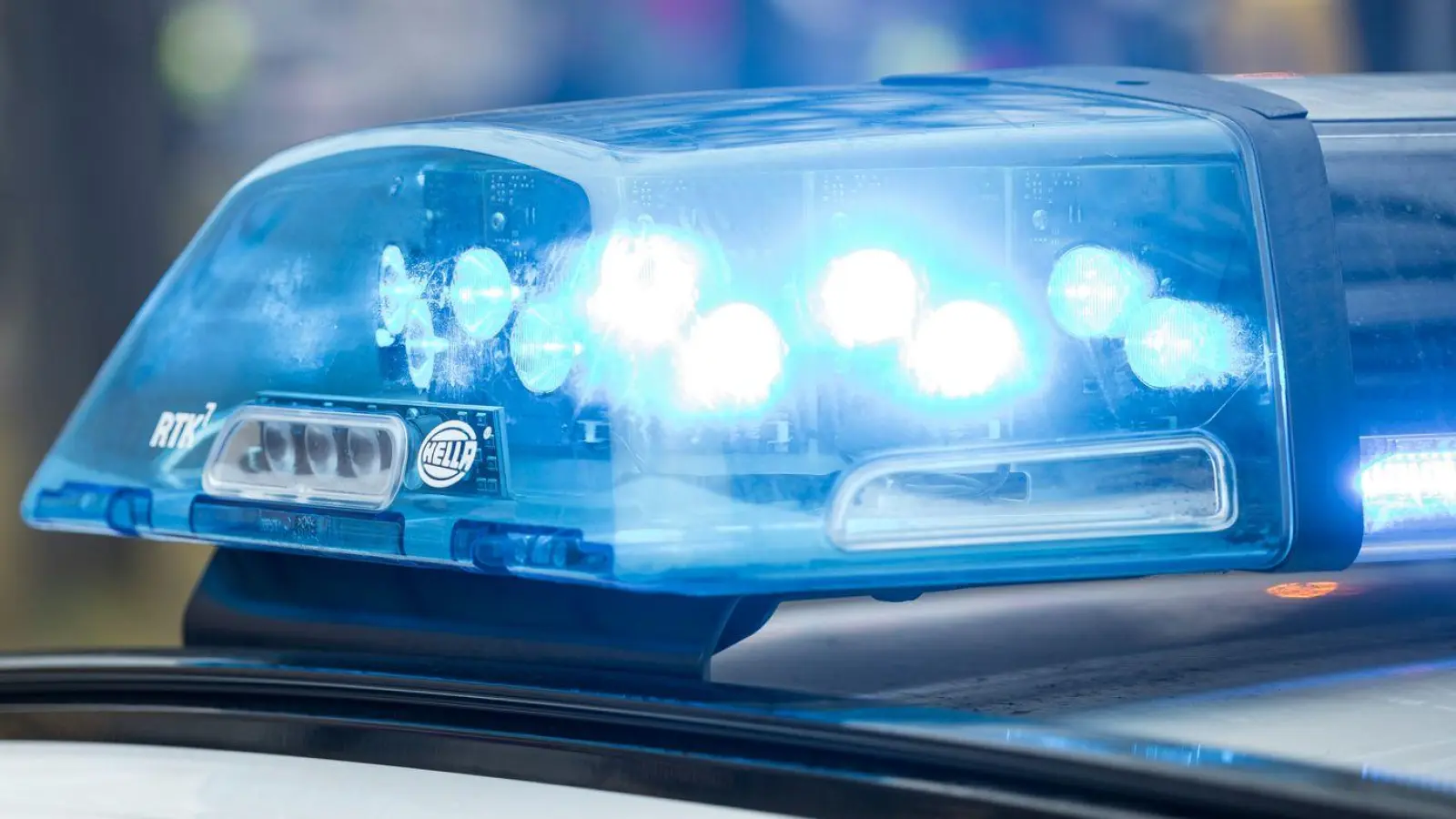 Die Bundespolizei nahm den Tatverdächtigen am Bahnhof fest. (Symbolbild) (Foto: Daniel Vogl/dpa)