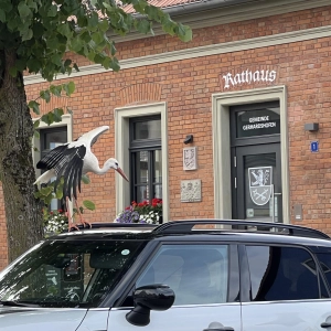 Storch sucht Landeplatz - gesehen in Gerhardshofen (Foto: Josef Kretschmer)