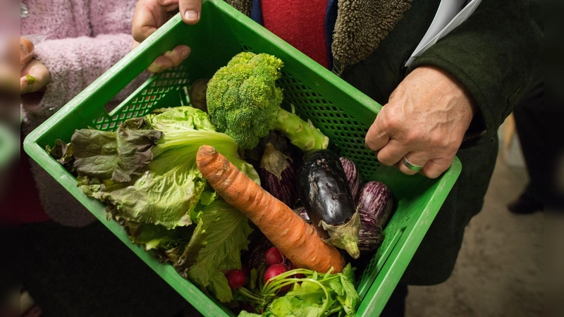 Die Blätter vom Salatkopf sind schon etwas welk, die Aubergine hat eingedrückte Stellen, der Brokkoli erste eher gelbe Röschen und die Möhrenspitze beginnt zu schrumpeln. Dennoch lässt sich daraus noch Leckeres zaubern.  (Foto: Matthias Balk/dpa/dpa-tmn)