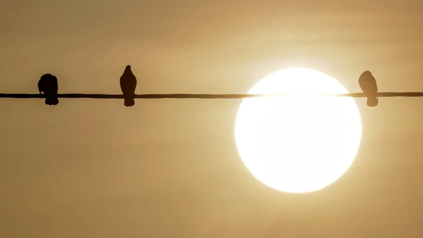 Bodennahe Winde haben den Staub in Afrika aufgewirbelt, dann wird der nach Europa transportiert. (Foto: Thomas Warnack/dpa)