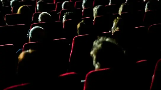 Besucherinnen und Besucher sitzen in einem Kino. (Foto: Nicolas Armer/dpa/Symbolbild)